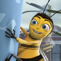 Filmliga Eemsmond Delfzijl presenteert Bee Movie